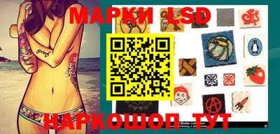 прущие грибы Обнинск
