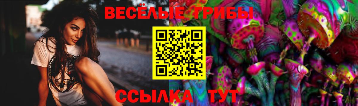 Саяногорск  Галлюциногенные грибы Psilocybine cubensis  Вход с VPN 